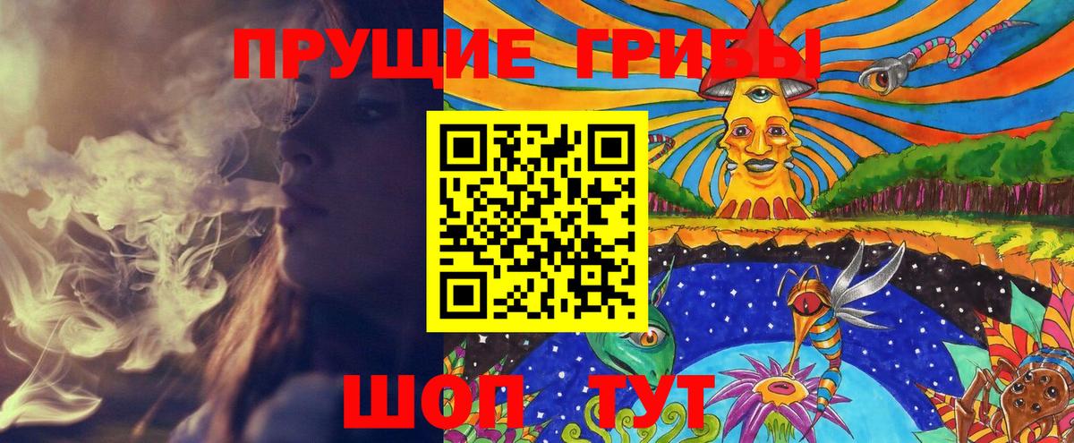 Галлюциногенные грибы Psilocybe Солнечногорск