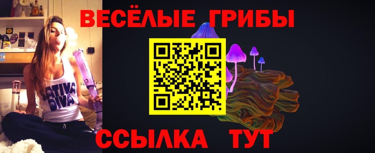 Галлюциногенные грибы прущие грибы  цена наркотик  Солнечногорск  Вход с VPN  Псилоцибиновые грибы Cubensis 